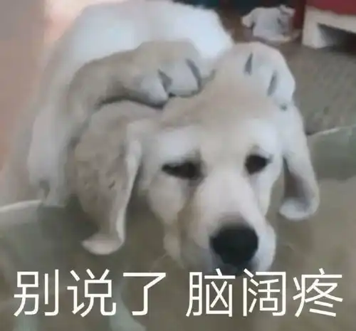  沙雕表情包不想面对脑壳痛