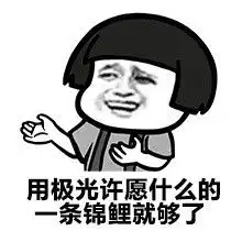  天天转锦鲤表情包无水印版