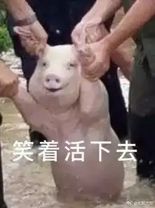  周末又是下雨的节奏成都接下来的气温,简直不敢相信