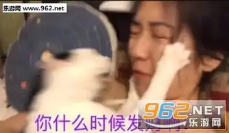  猫猫祟祟表情包围观戏精表情包图片下载乐游网游戏下载