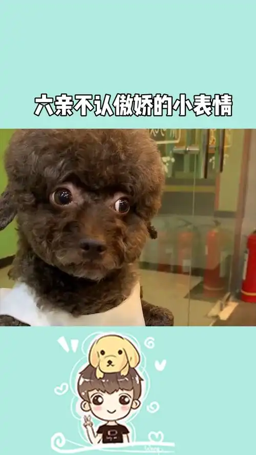  只要穿上漂亮裙子马上六亲不认傲娇的小表情