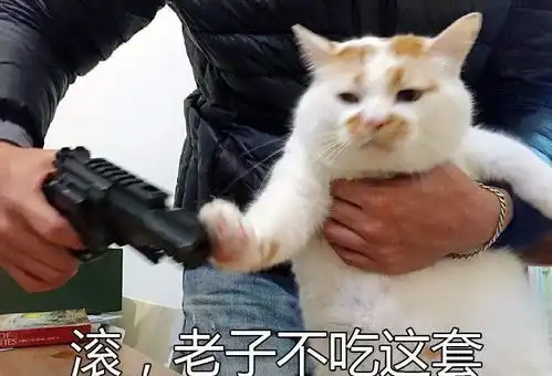  主人你为什么要在米缸拉屎猫你敢说这不是猫砂盆