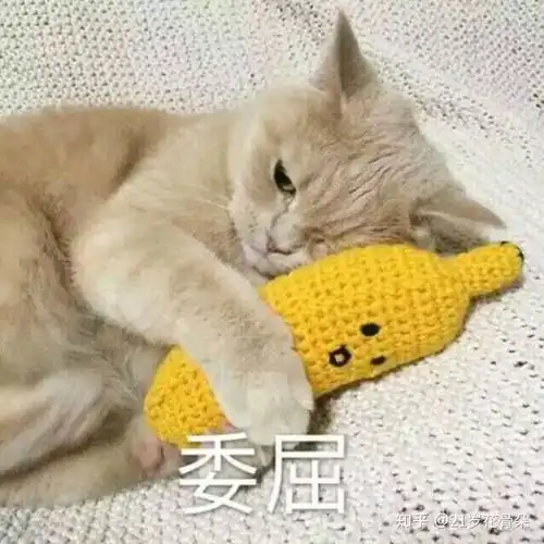 委屈的表情包动漫表情包