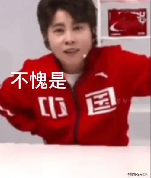  让吴京老师歇一歇王濛表情包来啦