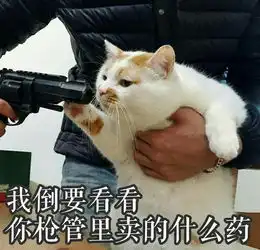  武汉大学生买房租房打八折对武汉房价有什么影响