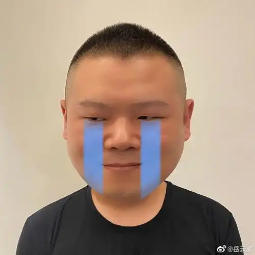  表情包更新岳云鹏cos微信新表情超逼真