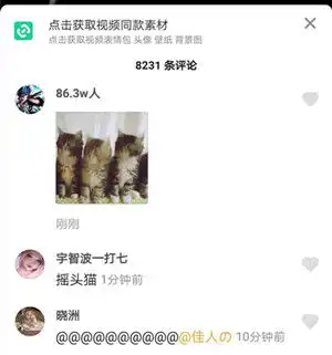 抖音三只点头猫蹦迪表情包超火的三只猫蹦迪gif表情包分享左将军游戏