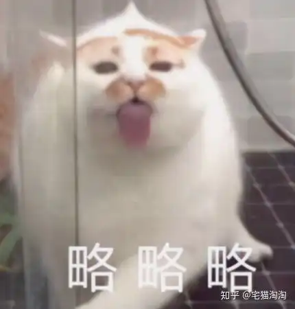 双十一购物攻略洗衣机篇从800到一万那些好价洗衣机推荐