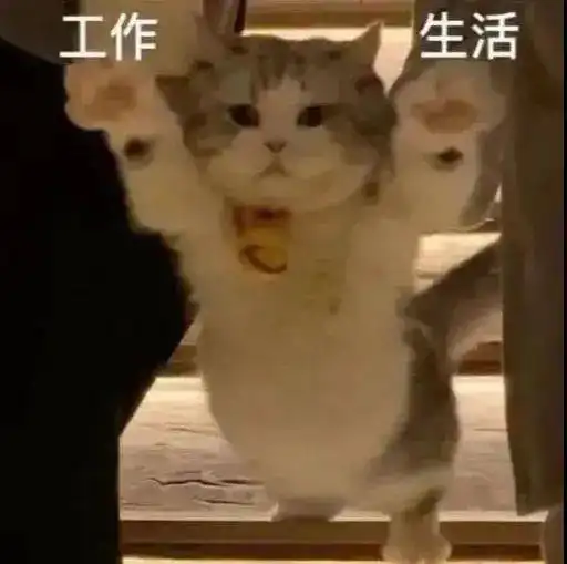 近期热图,斗图表情