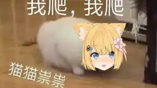 舌吻表情包动漫猫咪