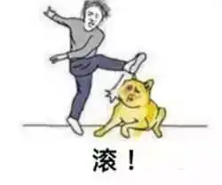  被鸭子丑到报警是什么体验