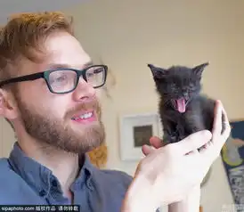  猫咪吃猫薄荷表情大合集