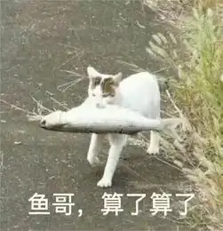  分享一组算了算了表情包,赶紧收了