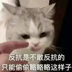 那么大表情包哪里来的略