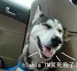  养二哈与养金毛的区别真的给跪了