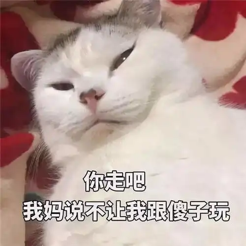 小傻瓜表情包傻子