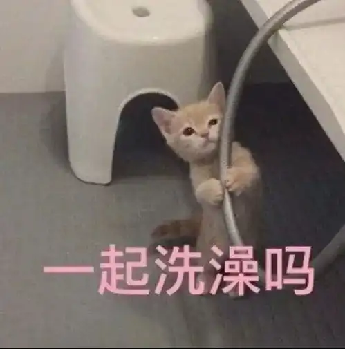  表情包情侣撒娇必备