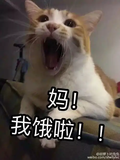  表情包走一波