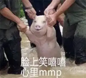  2017年度表情包大赏没用过这些表情包,你的2017年就白过了