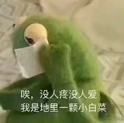  8月精选热门表情包无水印
