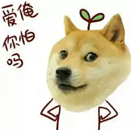  王思聪拥吻豆得儿可他知己的人生才是少女梦
