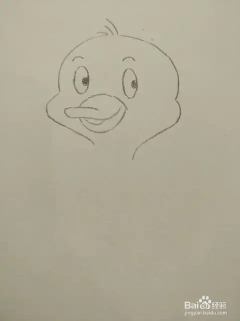  简笔画画可爱的小鸭子