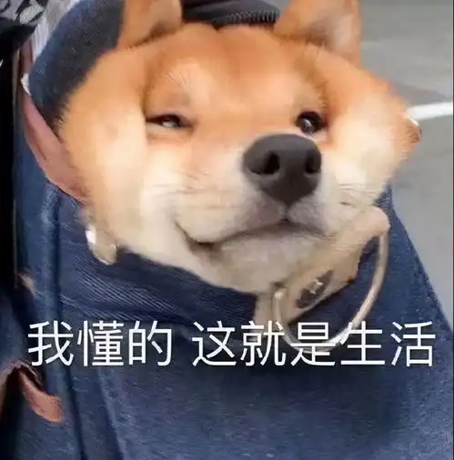  为了孩子的教育,先新西兰再澳洲,夫妻俩人的移民血泪史值吗