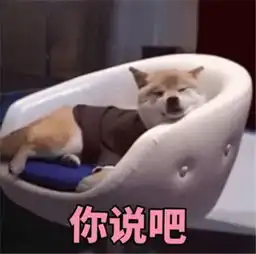  表情包他竟然已经会用忍术了