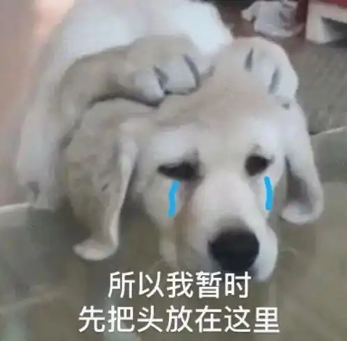  表情包闭上你的茶壶嘴