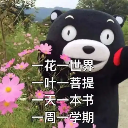  考试周期末来临,你还能做一只淡定喵么