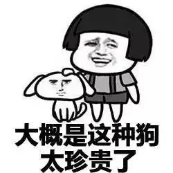  为什么这么多人喜欢虐单身狗表情包合集分享高清无水印虐单身狗表情包大全下载