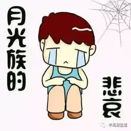  全新1年期政信项目即将上线额度极少赶紧电话预约