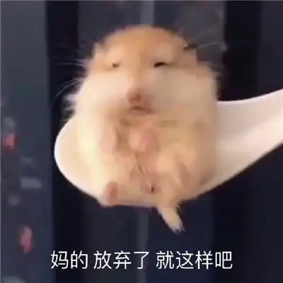  2022年很有趣的沙雕聊天表情大全