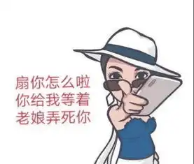  保时捷女司机被网友做成表情包看完之后只想说太有才了