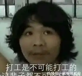 窃瓦拉格表情包表情