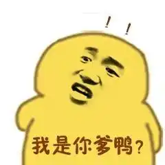  每日表情沙雕小黄鸭