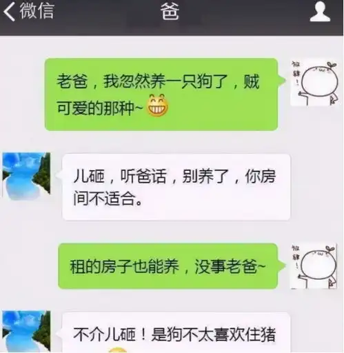  大学生和父母聊天记录走红,爆笑内容引网友热议,网友亲生的