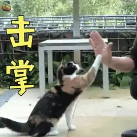 大笑动图表情包击掌