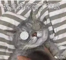  大二男生借款4万半年要还100万,已辍学全家躲债