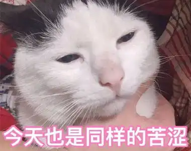 失眠表情包搞笑图片大全每天深夜总有一堆不睡觉的原因