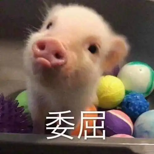  我迷人五官就是你犯罪的开端
