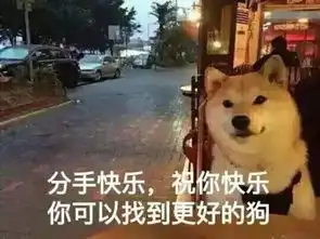单身狗证表情包特征