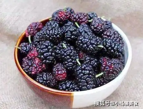  做桑葚酒时,多加1个关键步骤,桑葚酒香醇顺滑,放得久也不坏