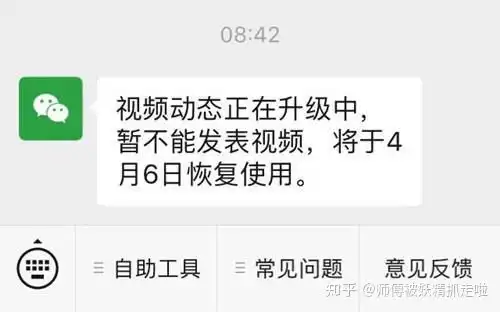  最新消息微信表情商店视频动态暂停使用