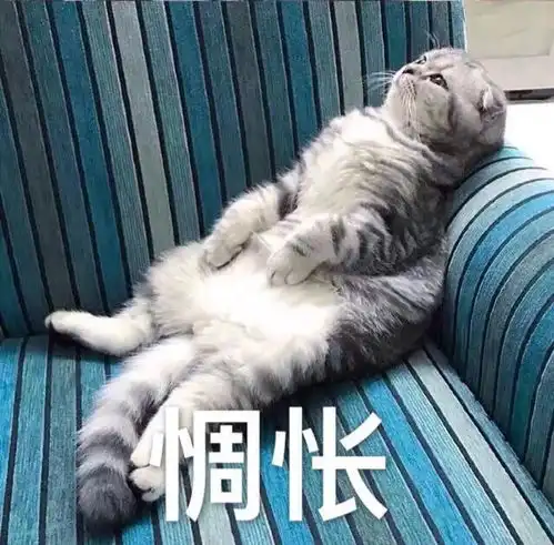 可爱猫咪表情包斗图专用