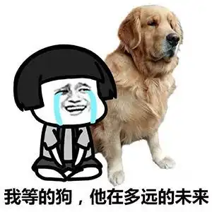  东方不buy要怎么过双十一