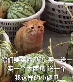  求台剧恶作剧之吻1资源呐