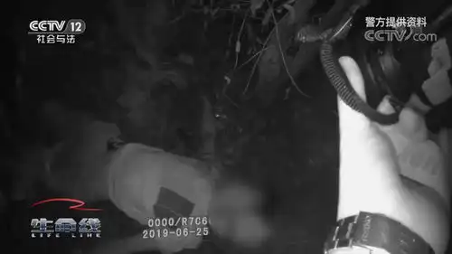  男子酒后驾车撞死路人,竟让妻子为其顶包,来看视频
