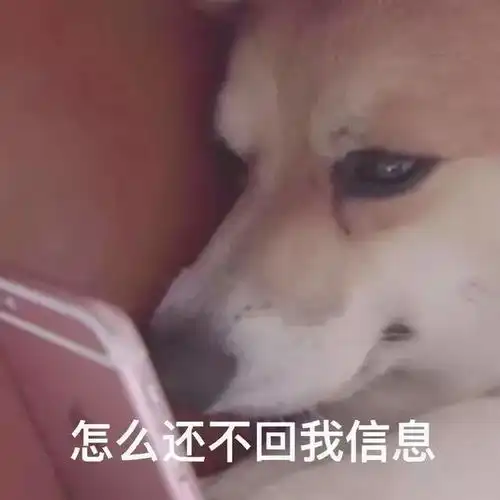  复习两个月面试美团,offer舔到手了吗内附进大厂诀窍