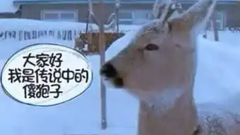  智玩酱的个人频道